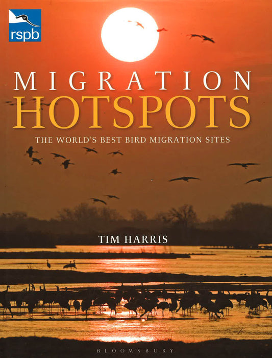 Rspb Migration Hotspots
