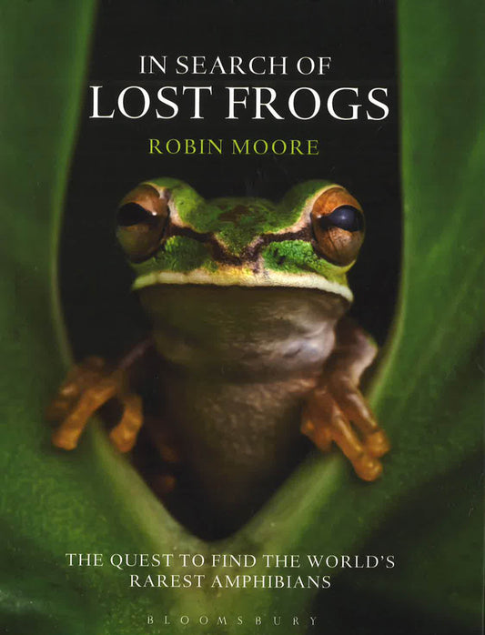 Search Of Lost Frogs