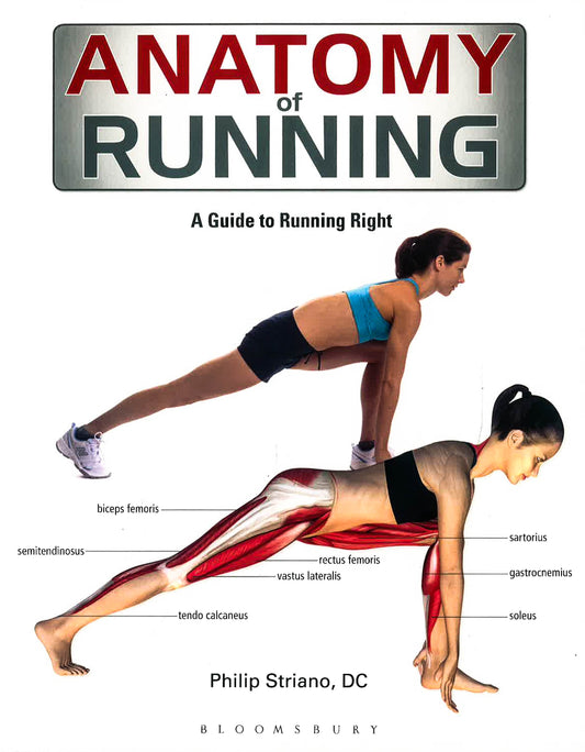 Anatomy Of Running: A Guide To Running Right