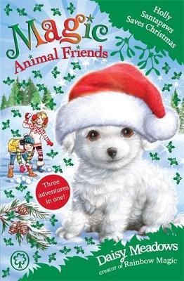 Magic Animal Friends: Holly Santapaws Saves Christmas: Special 5