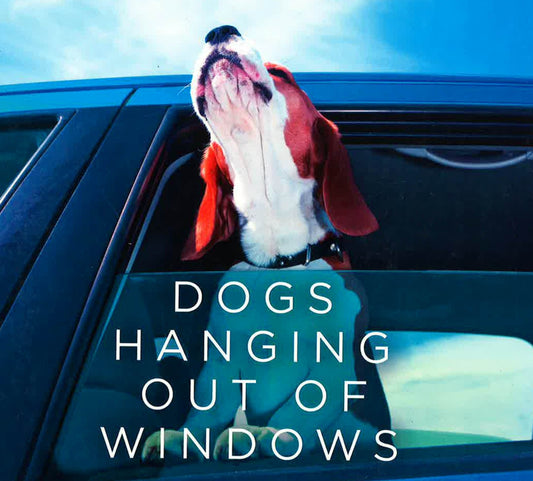 Dogs Hangiing Out Of Windows