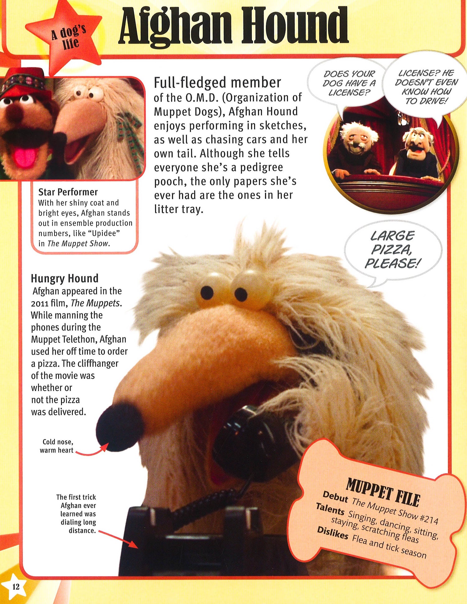 Dk: Muppets Character Encyclopedia – BookXcess
