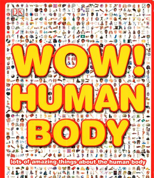 Wow! Human Body: Lots Of Amazing Things About The Human Body