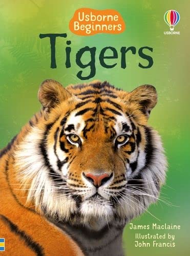 Tigers (Beginners)