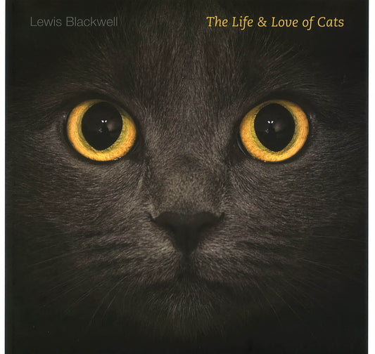 The Life And Love Of Cats