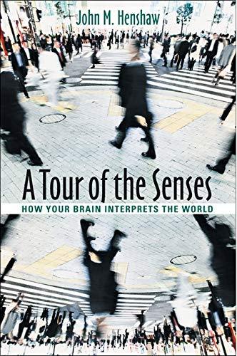 A Tour of the Senses: How Your Brain Interprets the World