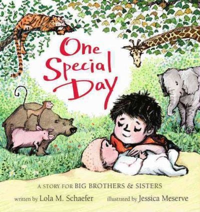 One Special Day: A Story For Big Brothers And Sisters