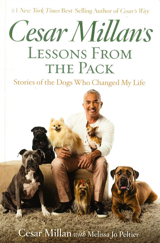 S Lessons From The Pack