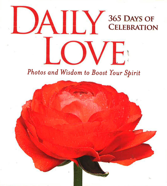 Daily Love: 365 Days Of Celebraion