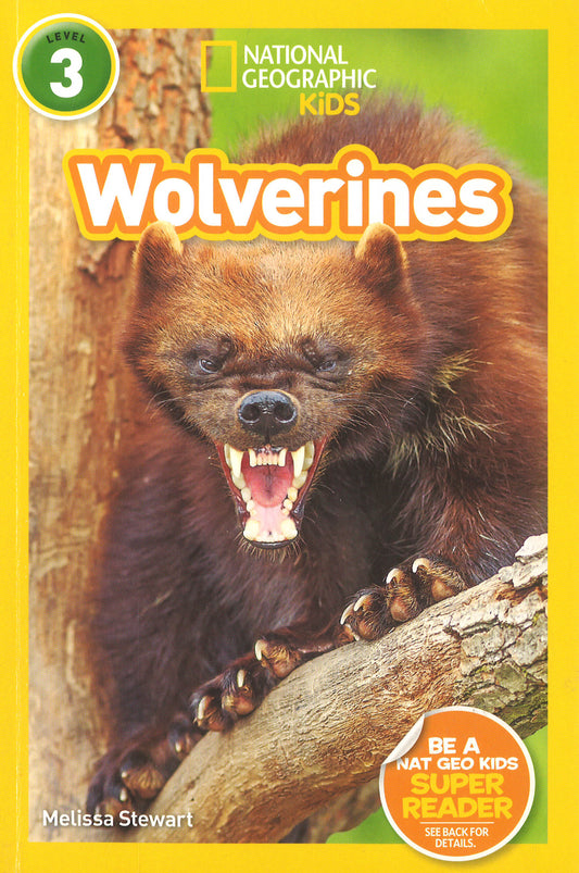 National Geographic Readers: Wolverines (L3)