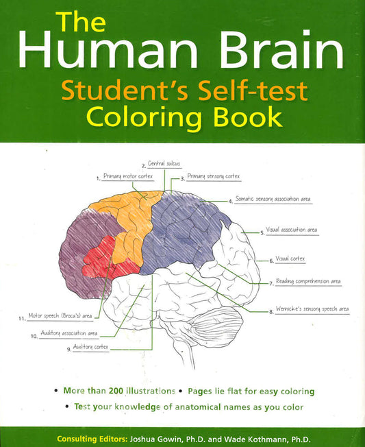 Human Brain Student's Self-Test Coloring Book