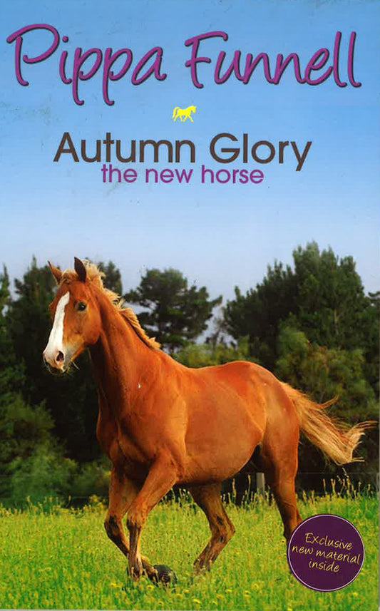 Tilly's Pony Tails: Autumn Glory - The New Horse