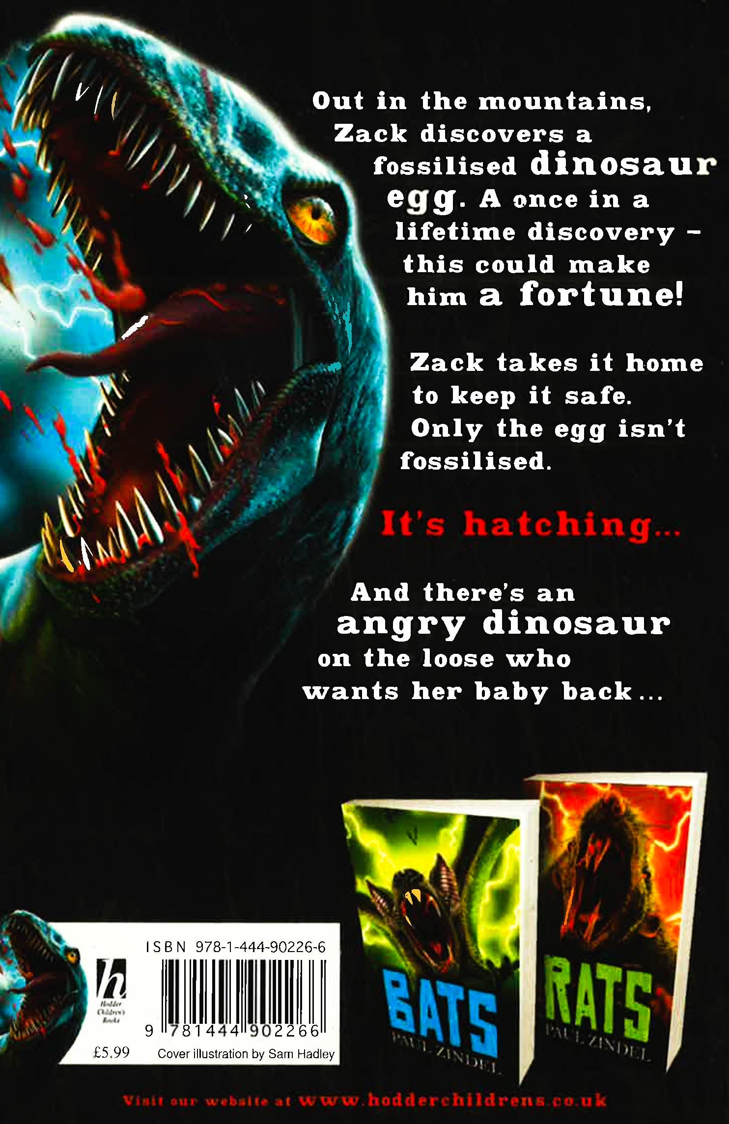 Captain Raptor Book Raptor – BookXcess