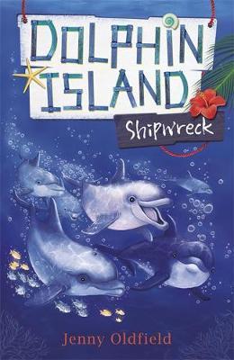 Dolphin Island: Shipwreck : Book 1