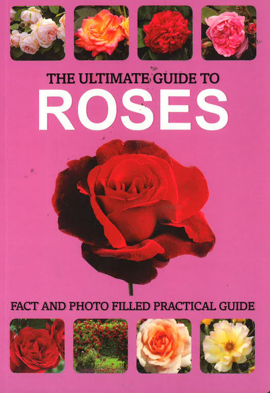The Ultimate Guide To Roses