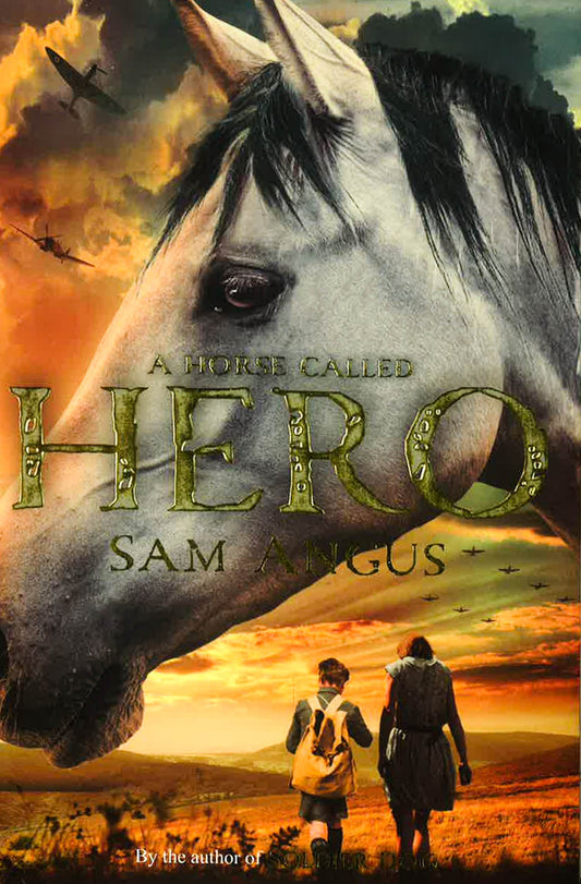 A Horse Called Hero
