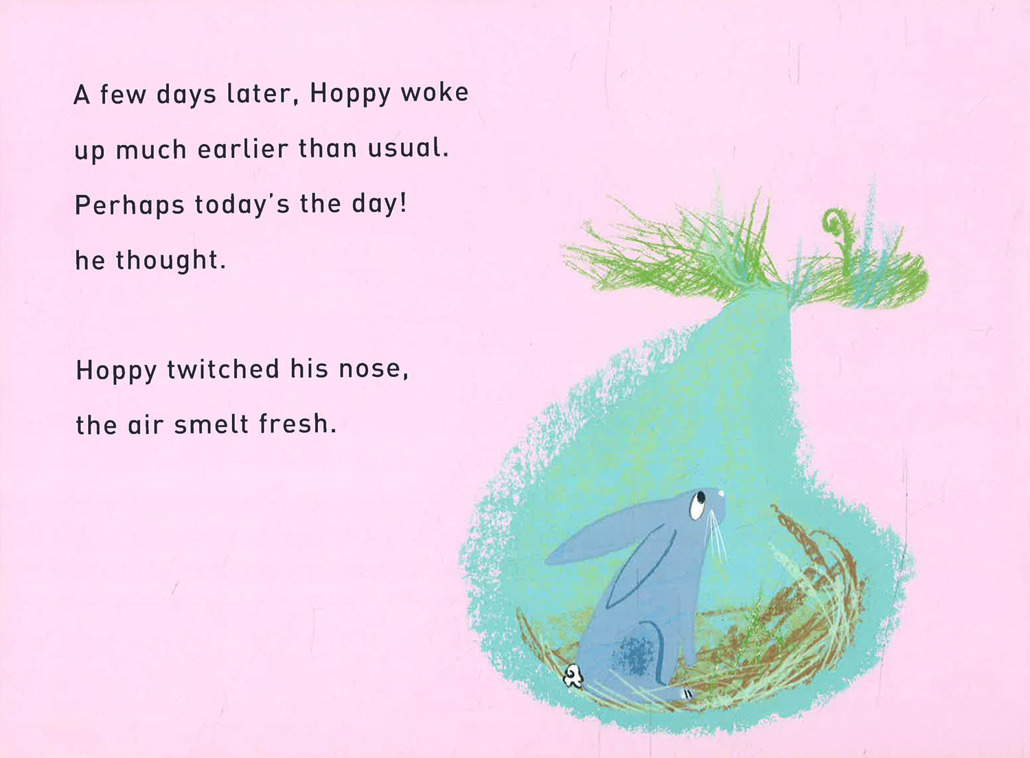 Hooray For Hoppy โ BookXcess