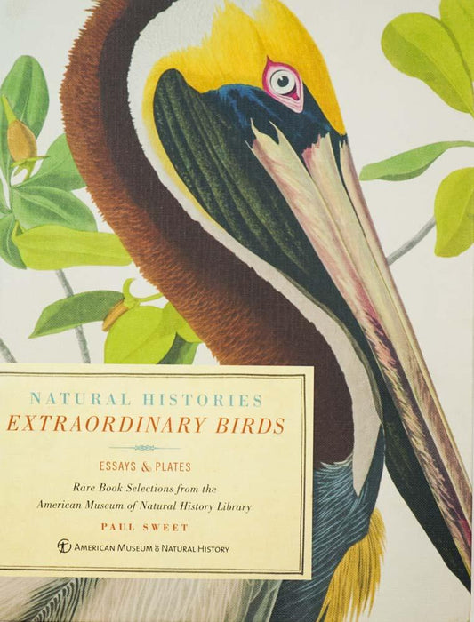 Natural Histories Extraordinary Birds