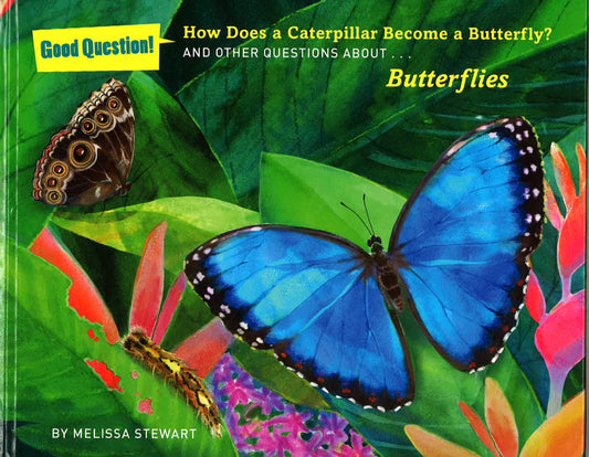How Does A Caterpillar Become A Butterfly?: And Other Questions About Butterflies