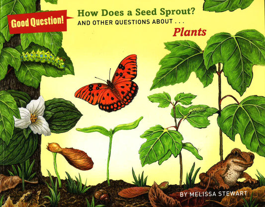 How Does A Seed Sprout?: And Other Questions About... Plants (Good Question!)