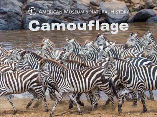 Camouflage (American Museum Of Natural History)