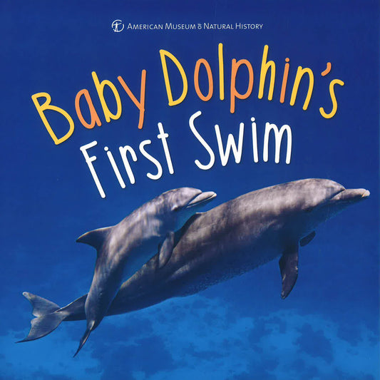 Baby Dolphin'S First Swim
