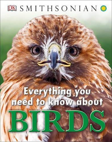 Everything You Need To Know About Birds