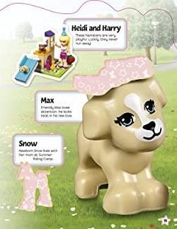 LEGO Friends: Pet Party – BookXcess