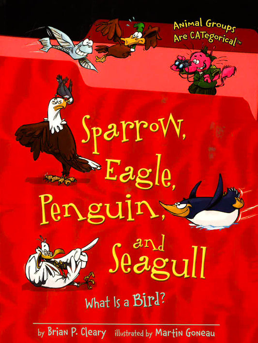 Sparrow, Eagle, Penguin, And Seagull