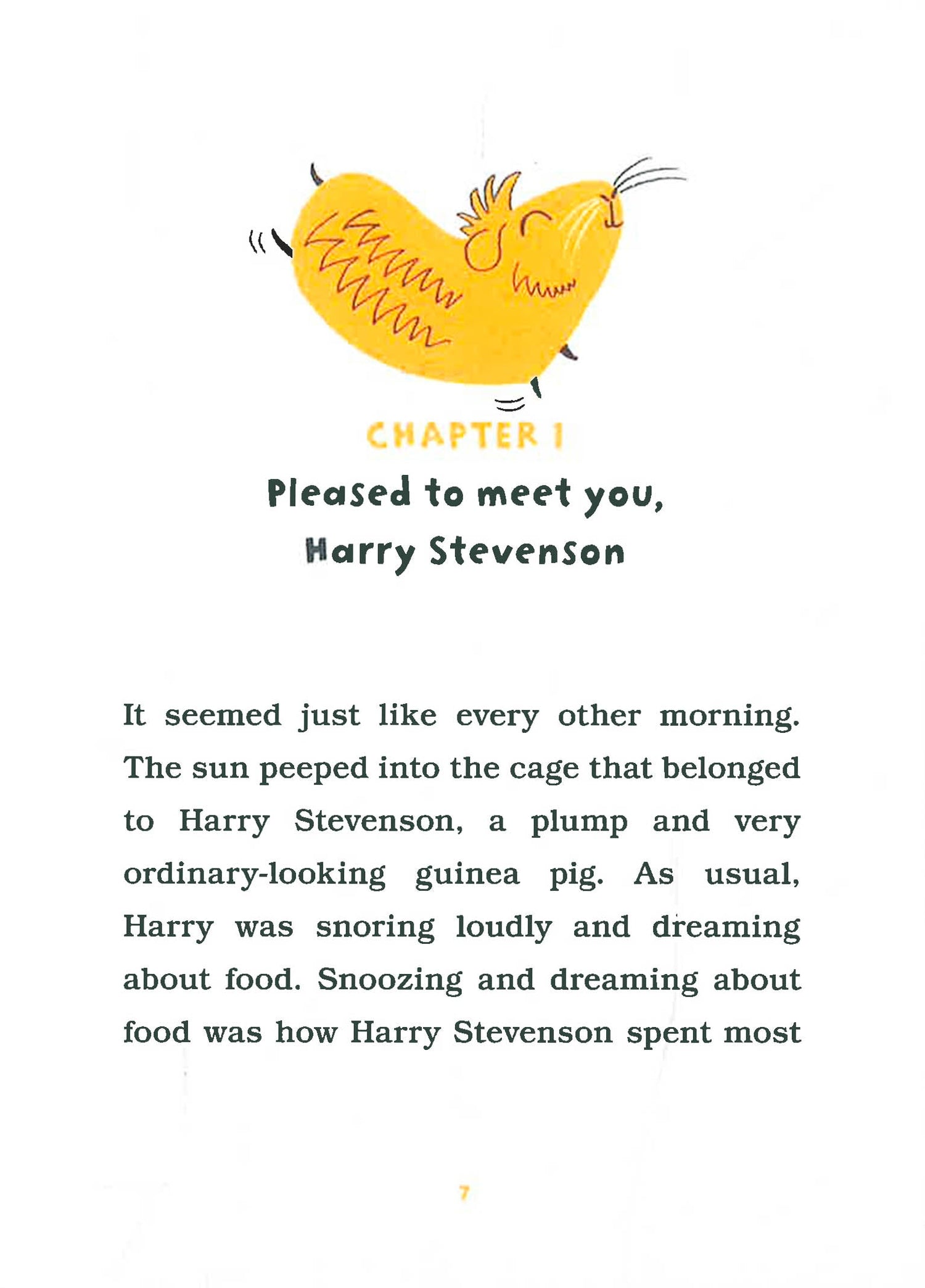 The Adventures Of Harry Stevenson BookXcess the-adventures-of-harry-stevenson-bookxcess