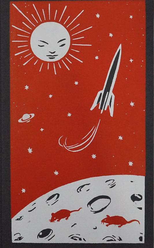 Maggot Moon (Slipcase)