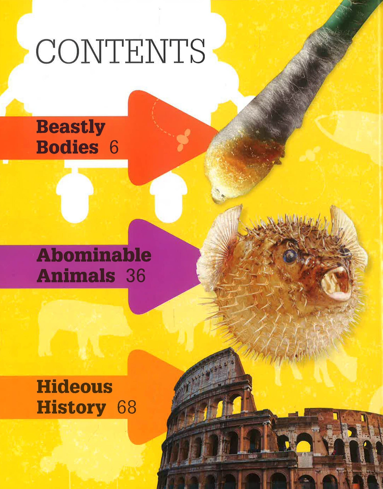 Distgusting Fact 1000 Awesomely Gross & Disgusting Facts – BookXcess