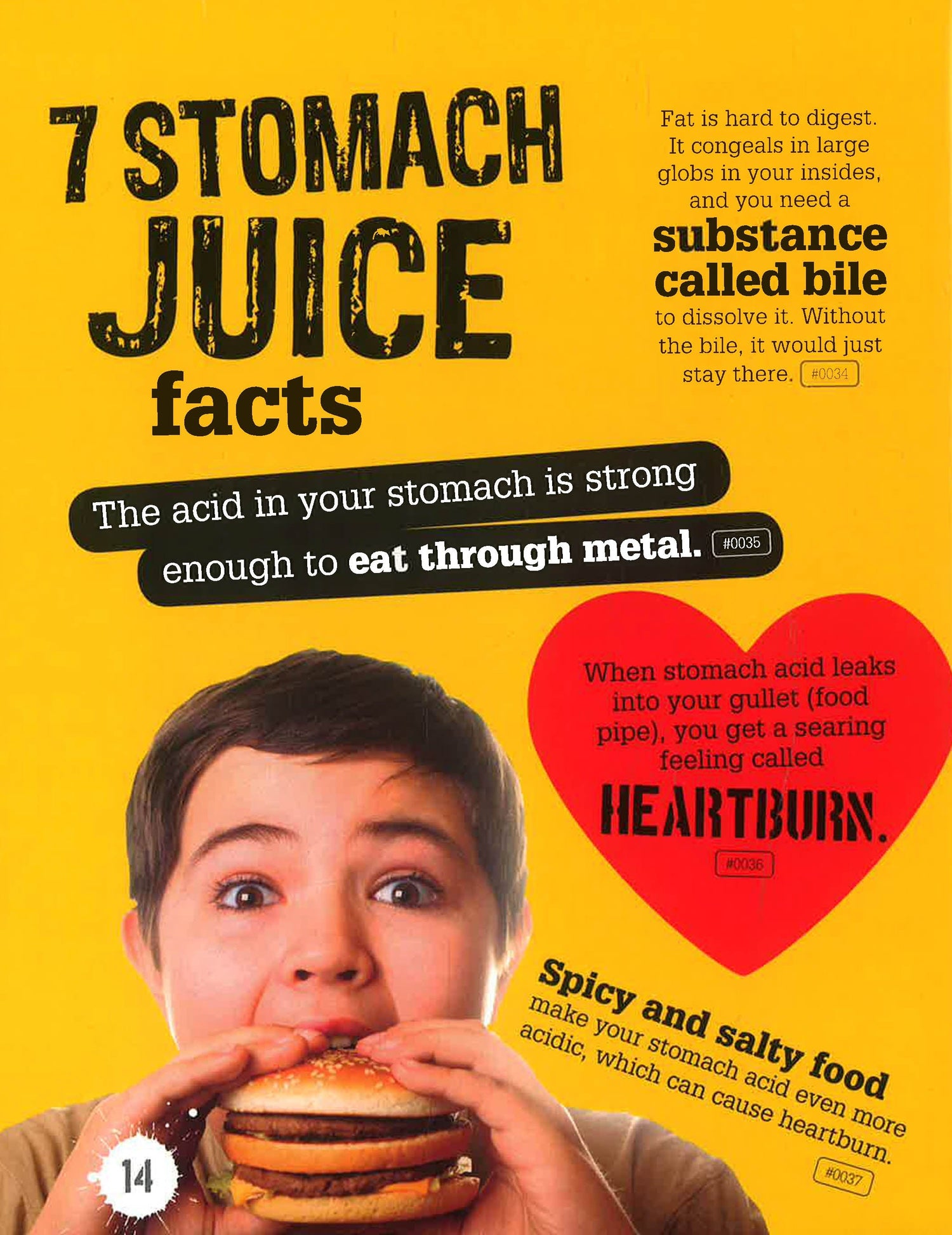 Distgusting Fact 1000 Awesomely Gross & Disgusting Facts – BookXcess