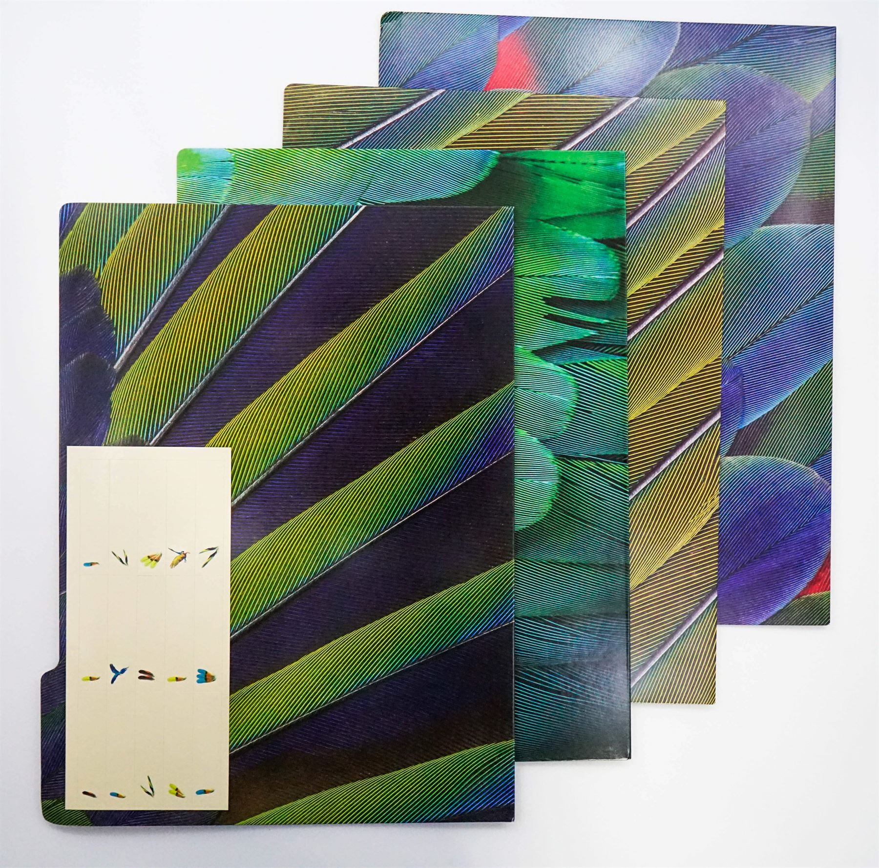 Translation missing: en.sections.featured_product.gallery_thumbnail_alt
