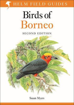 Birds Of Borneo