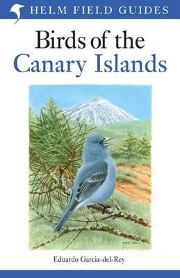 Birds Of The Canary Islands
