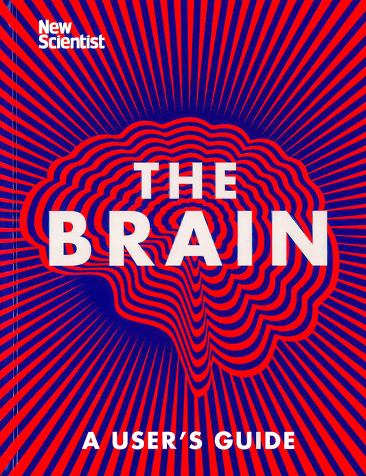 The Brain: Everything You Need To Know
