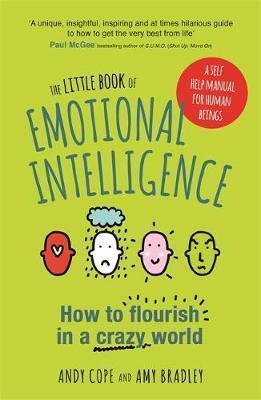 The Little Book Of Emotional Intelligence : How To Flourish In A Crazy World