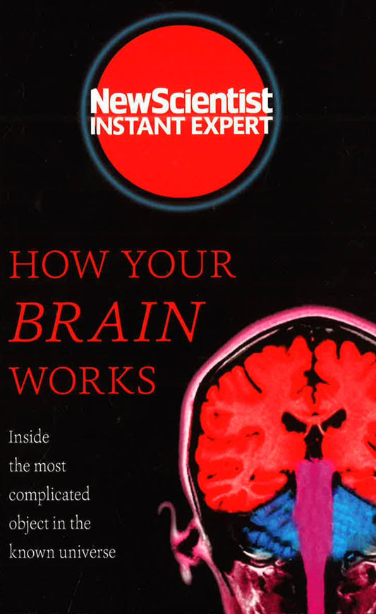 How Your Brain Work
