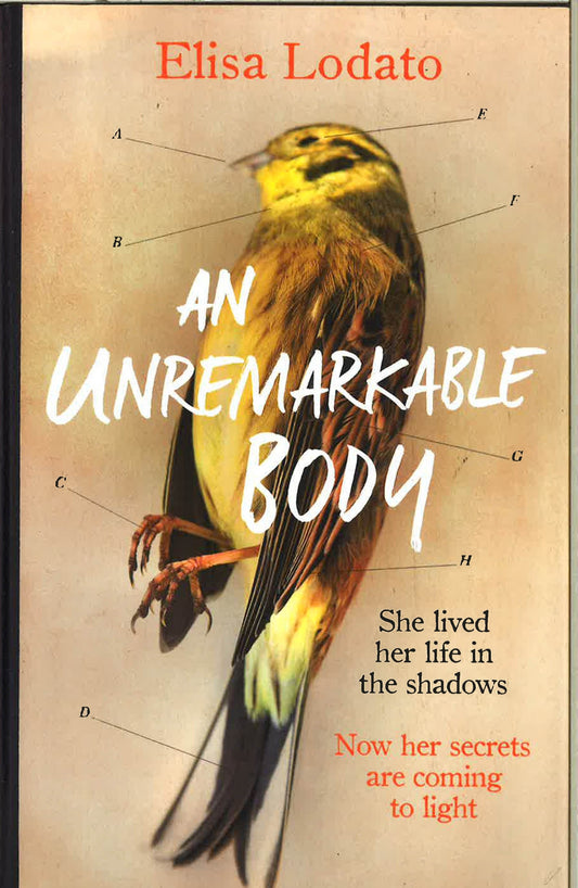 An Unremarkable Body