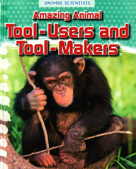 Amazing Animal Tool-Users And Tool-Makers