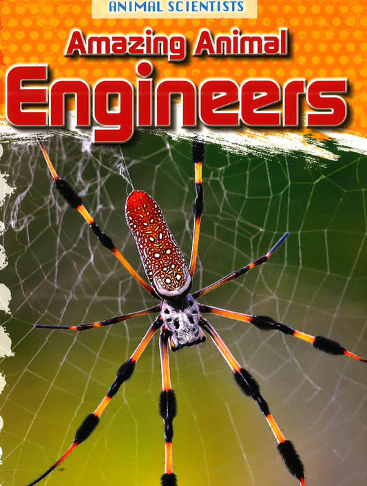 [Bargain corner] Amazing Animal Engineers