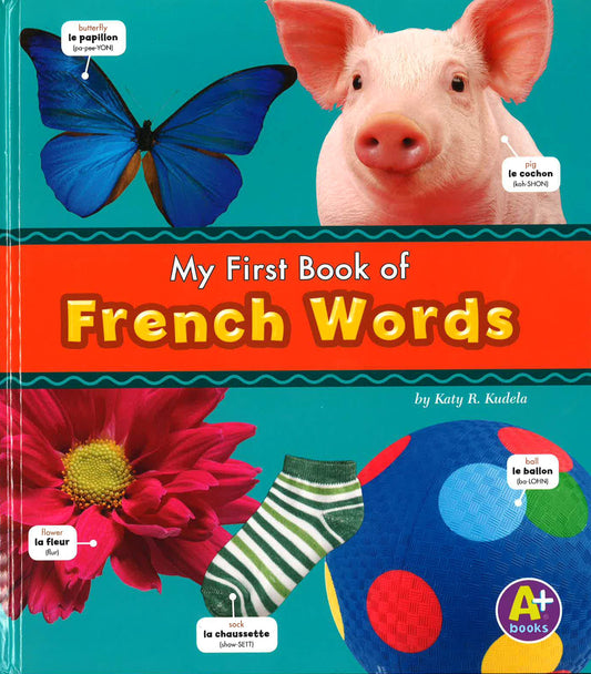 French Words (Bilingual Picture Dictionaries)