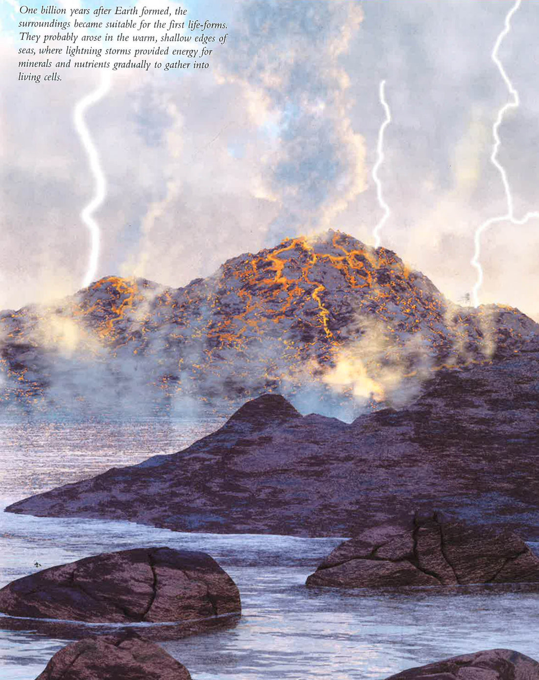 Brief Illustrated History Of Life On Earth – BookXcess