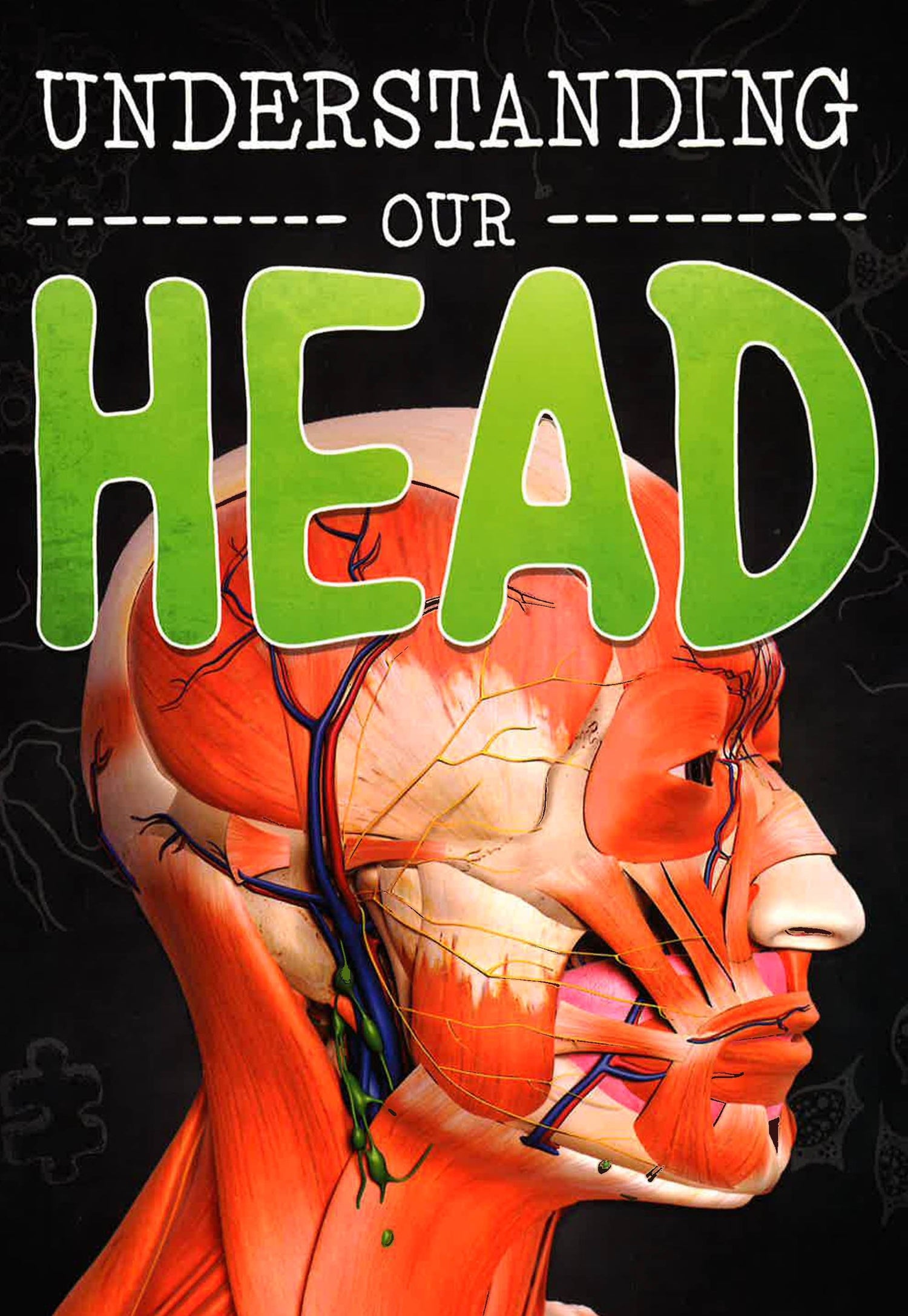Head Study Book Understanding Our Head – BookXcess
