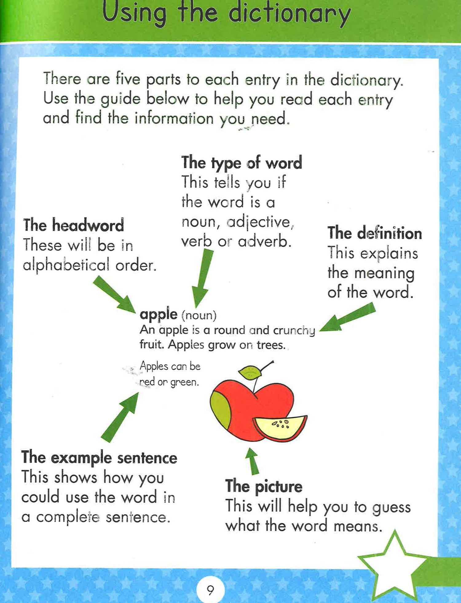 Gold Stars: My First Picture Dictionary – BookXcess