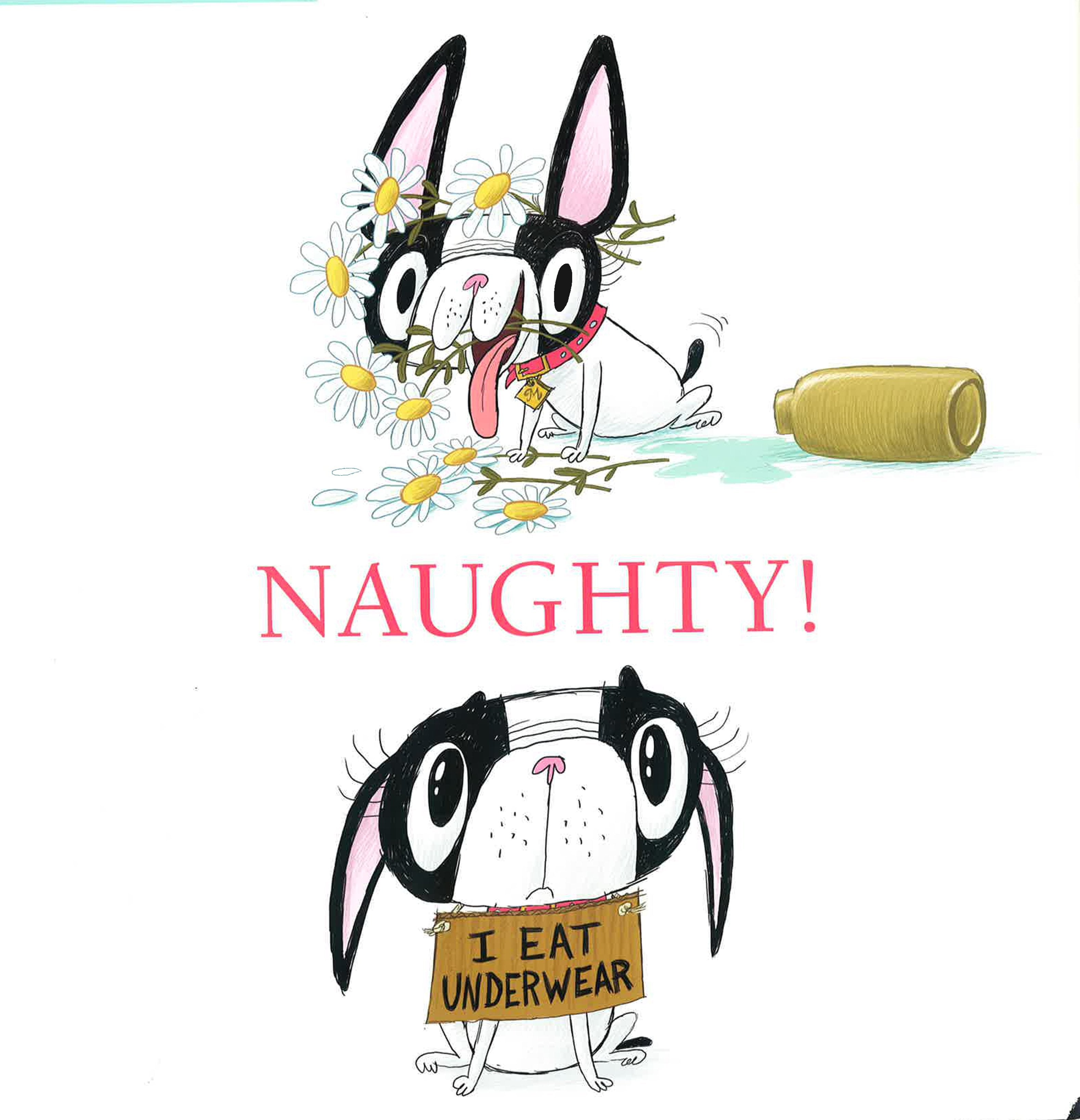 Translation missing: en.sections.featured_product.gallery_thumbnail_alt
