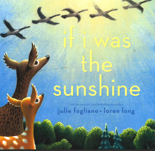 If I Was The Sunshine