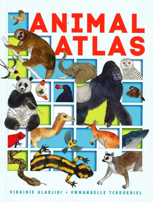 Animal Atlas