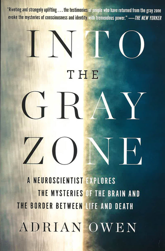 Into The Gray Zone